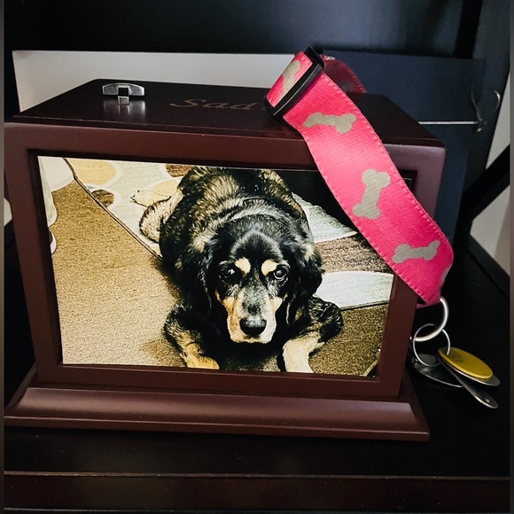 Meet your Posher, Kevin - Picture 3 of 3